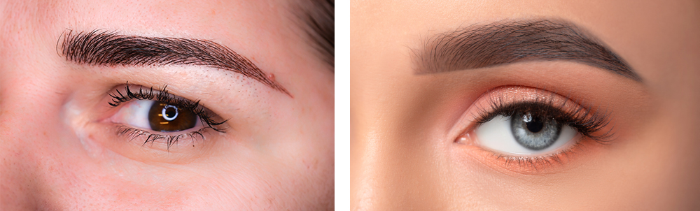 Microblading vs Powder Brows Windermere, FL